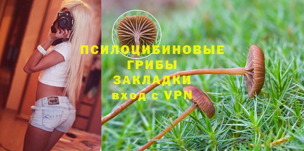 не бодяженный Вяземский