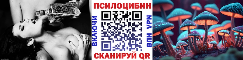 Купить  Мураши  Псилоцибиновые грибы Cubensis 